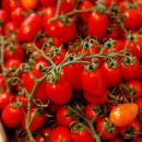 Tomaten 'Datterino'